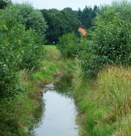 natuur bij Biologische Boerderij 'De Pasop'