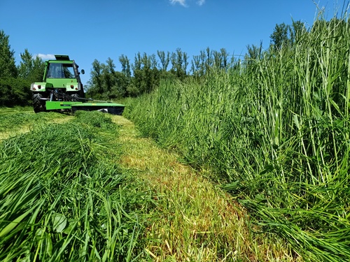 natuur bij Biologische Boerderij 'De Pasop'